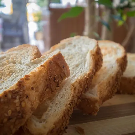 도스트 2* 말마리스