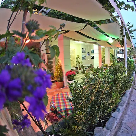 酒店 多斯特酒店 2*